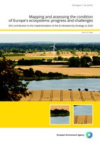 Mapping and assessing the condition of Europe's ecosystems: progress and challenges